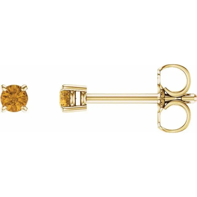 14K Yellow 2.5 mm Natural Citrine Stud Earrings
