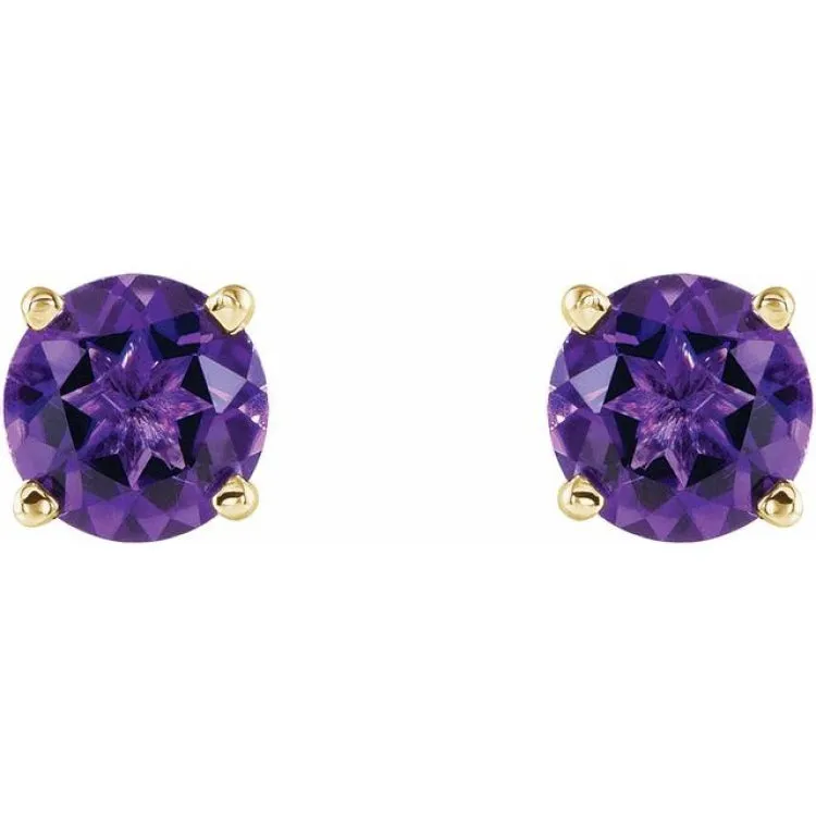 14K Yellow 5 mm Natural Amethyst Stud Earrings