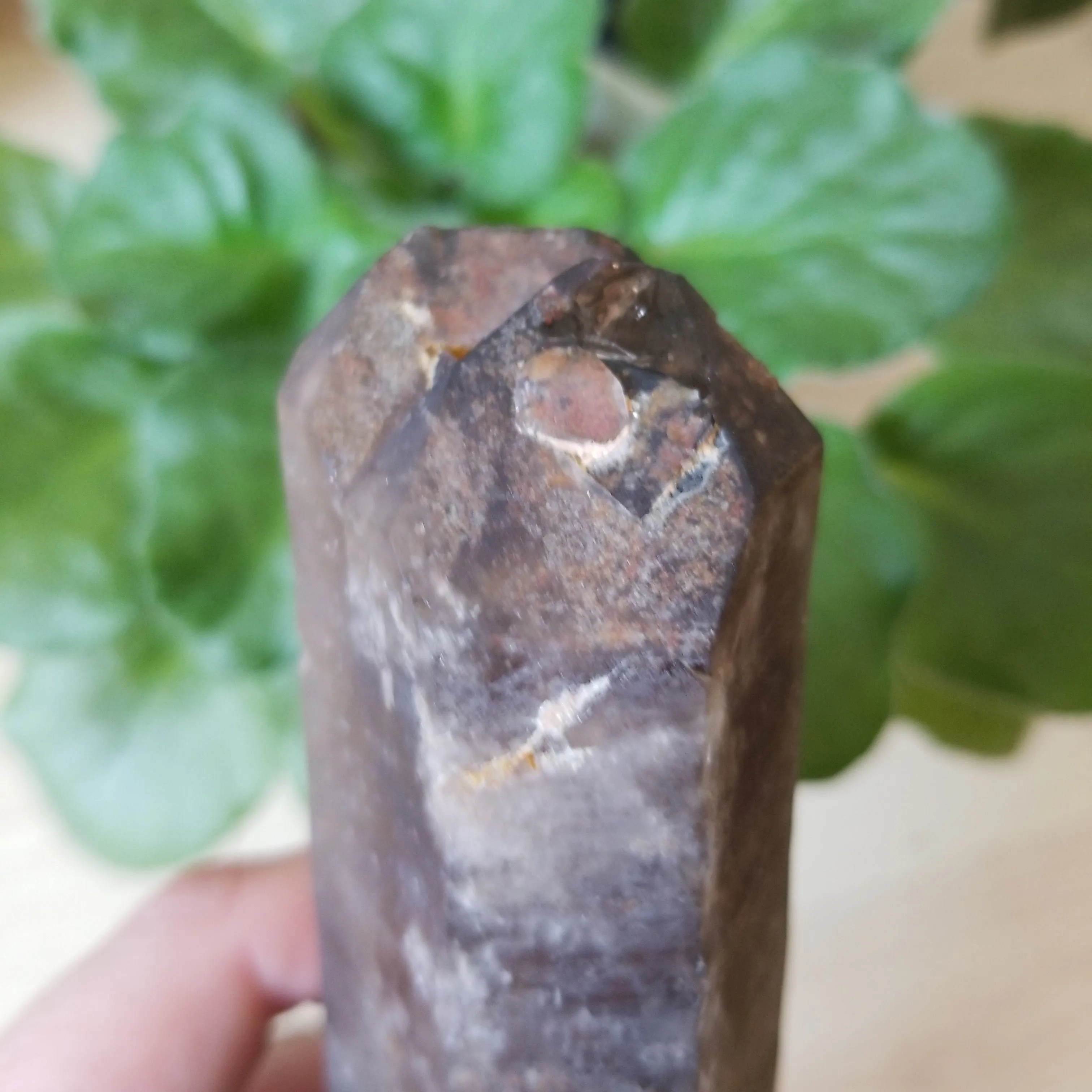 Large 6" Double Terminated Natural Citrine, Crystal Wand, Citrine Quartz From Mansa, Zambia, Citrine Points