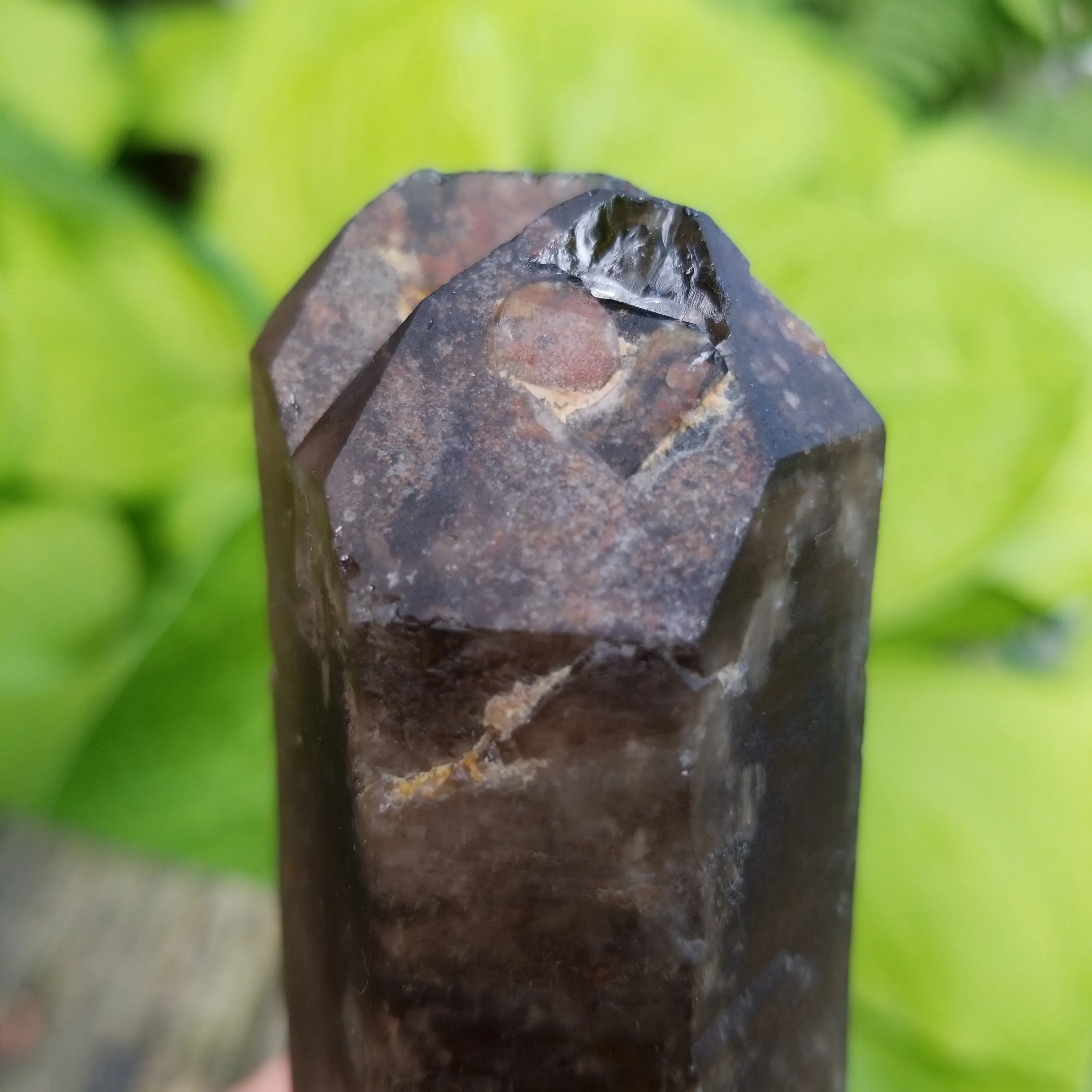 Large 6" Double Terminated Natural Citrine, Crystal Wand, Citrine Quartz From Mansa, Zambia, Citrine Points