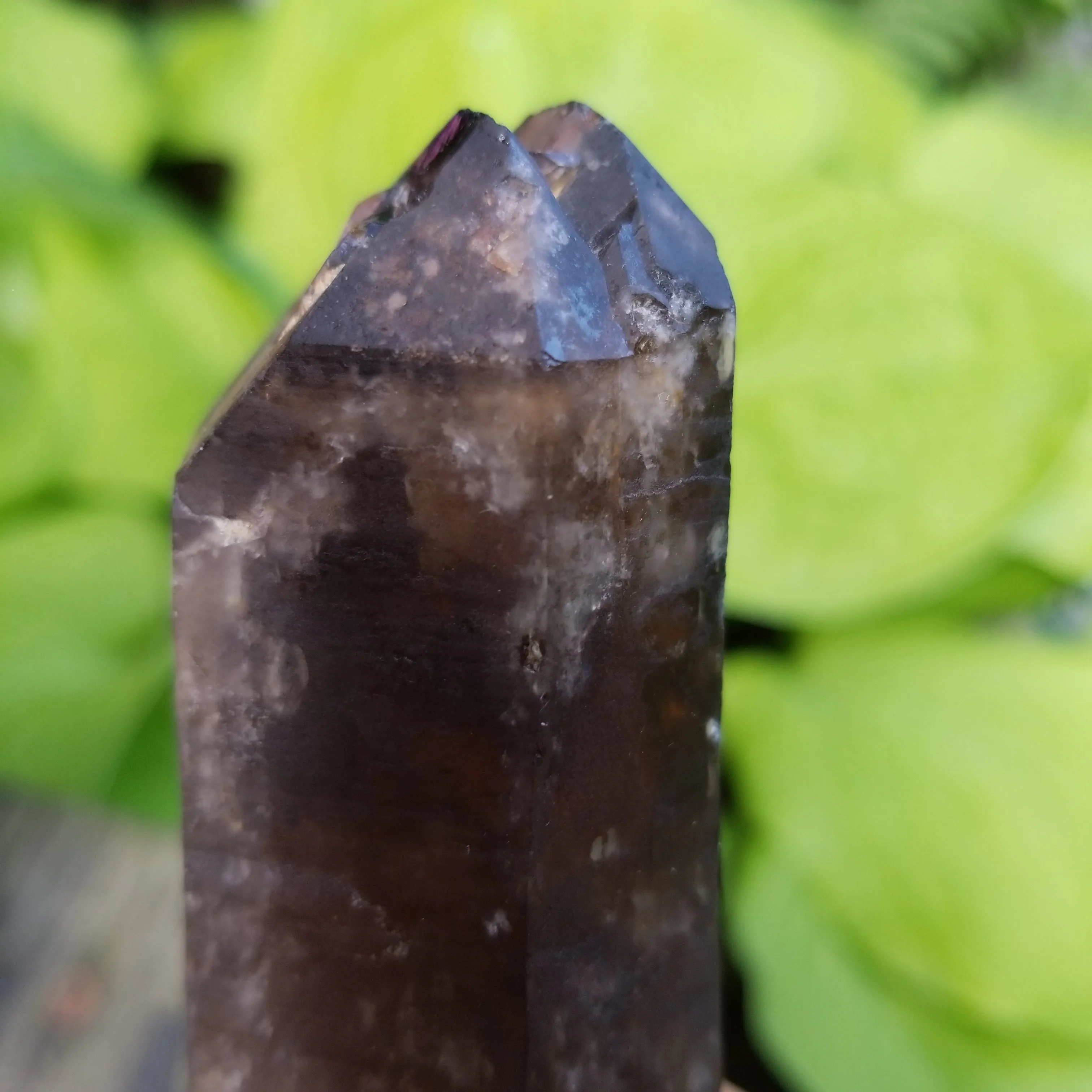 Large 6" Double Terminated Natural Citrine, Crystal Wand, Citrine Quartz From Mansa, Zambia, Citrine Points