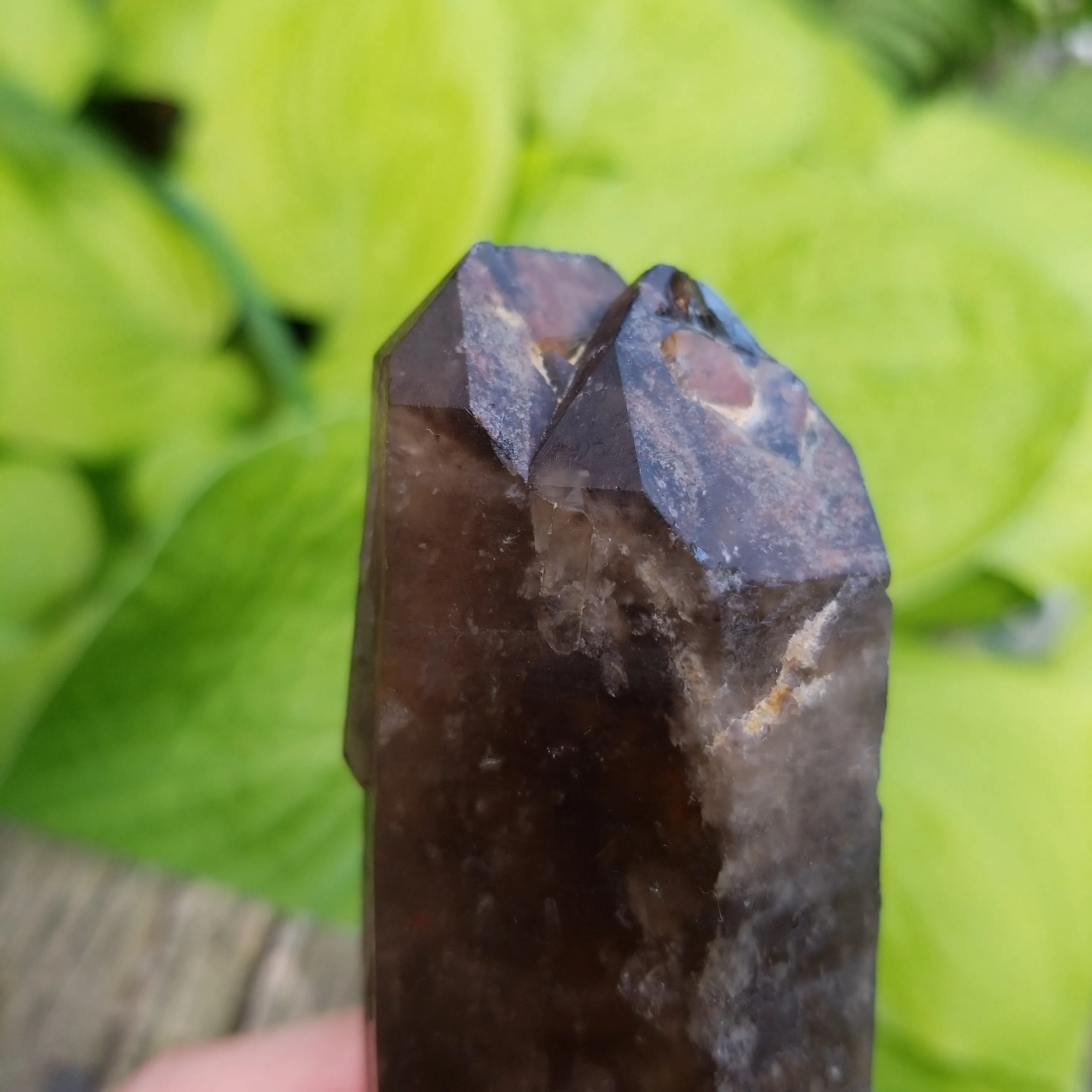 Large 6" Double Terminated Natural Citrine, Crystal Wand, Citrine Quartz From Mansa, Zambia, Citrine Points