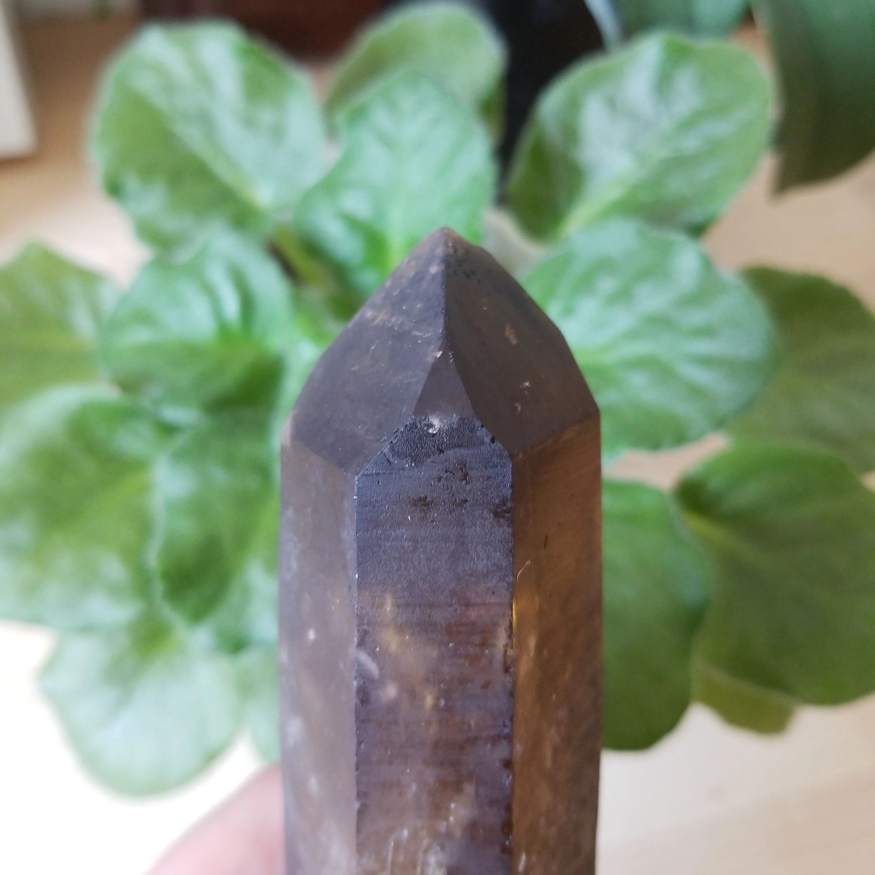Large 6" Double Terminated Natural Citrine, Crystal Wand, Citrine Quartz From Mansa, Zambia, Citrine Points