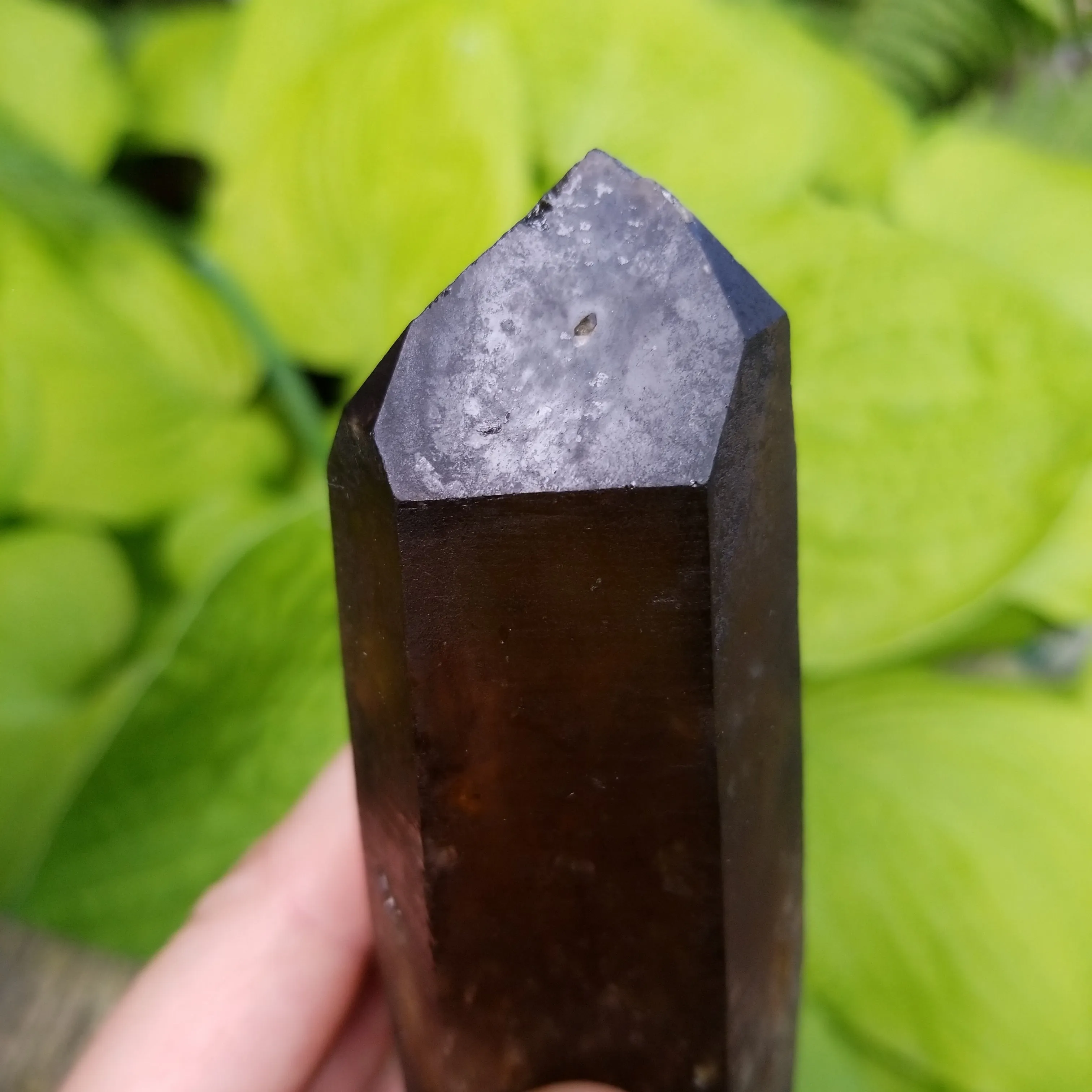 Large 6" Double Terminated Natural Citrine, Crystal Wand, Citrine Quartz From Mansa, Zambia, Citrine Points