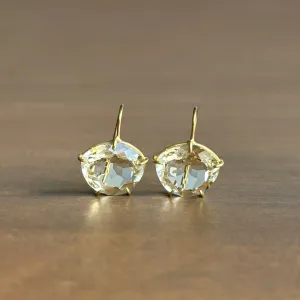 Lemon Citrine Petal Earrings