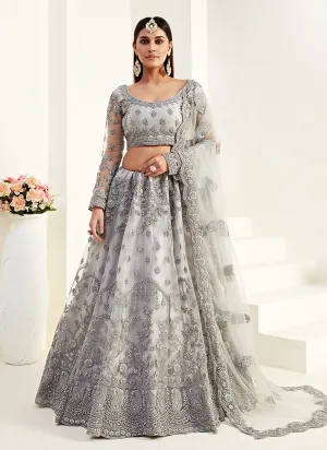 Silver Grey Multi Embroidered Lehenga Choli
