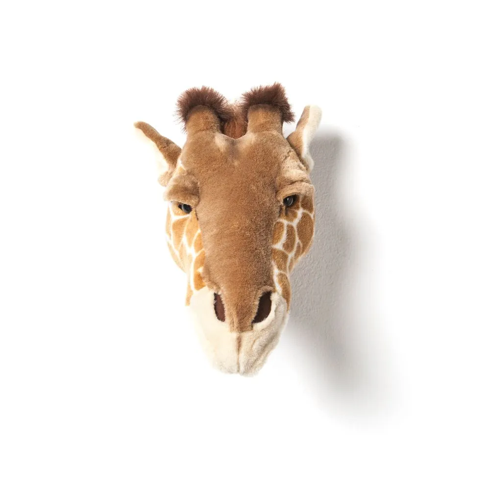 WILD & SOFT Königin Ruby - Die Erhabene Herrscherin des Himmels 🦒💫