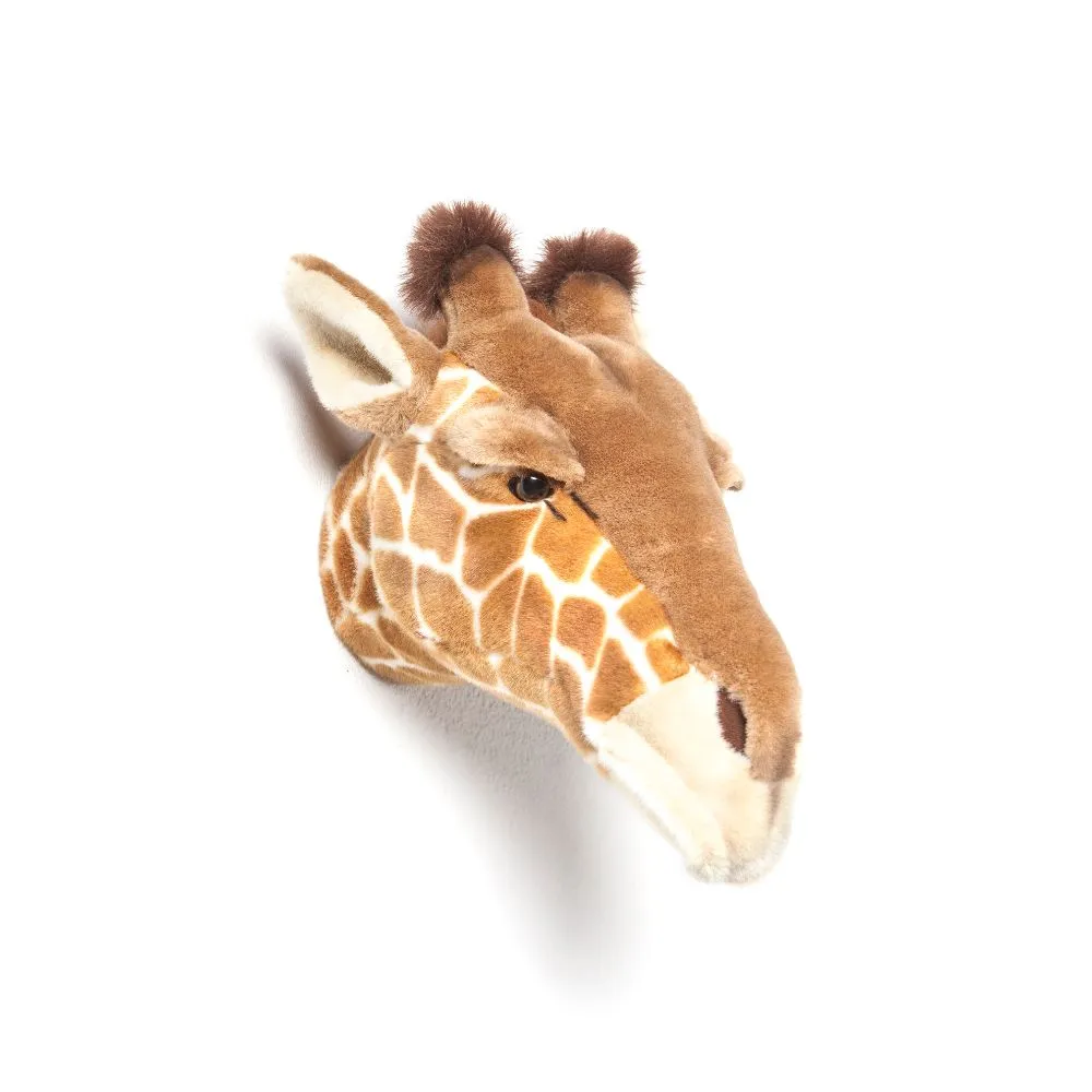 WILD & SOFT Königin Ruby - Die Erhabene Herrscherin des Himmels 🦒💫
